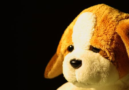 plush dog on black backgroundの写真素材