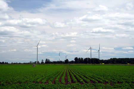 several wind energy turbines on a farm