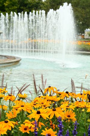 lavender and rudbeckia hirta flowers besides a water fountainの写真素材