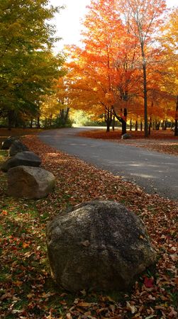 curved road in a park full of trees with beautiful fall colorsの写真素材