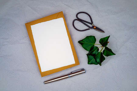 Blank greeting, condolence or invitation mockup with brown envelope, handmade white paper, and ivy as a symbol of reliability, loyalty, immortality, eternal life. Flat lay, top view, copy space.の写真素材