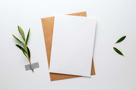 Blank greeting, invitation, congratulation or condolence card beside an olive branch (symbol for life, peace, love and loyalty), fixed on a white desk with washi tape. Top view, flat lay, copy space.の写真素材