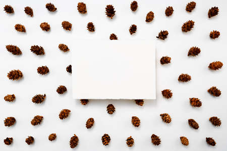 Autumn, winter or Christmas greeting card mockup. White, blank, handmade sheet of paper on a background of pine cones. Table top view, flat lay, copy space.の写真素材