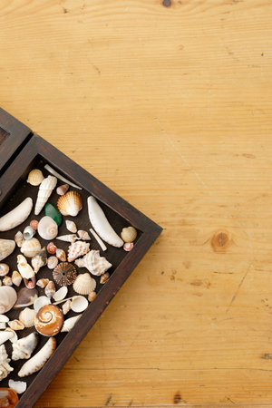 A box with shells and other maritime findings on a wooden tableの写真素材