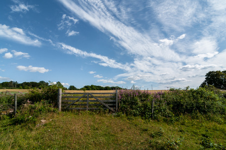 Old wooden gate fence on green meadowの写真素材