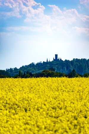 A castle behind a yellow canola field in bloom with place for textの写真素材