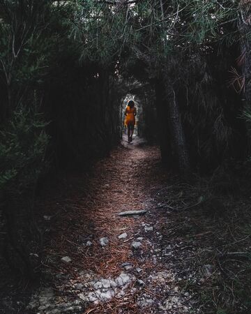 Lonely girl with a yellow dress in a dark forest walking down the pathの写真素材