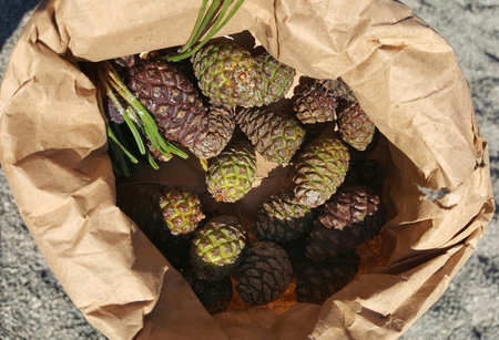 Cones in paper bag on gray background, top view.