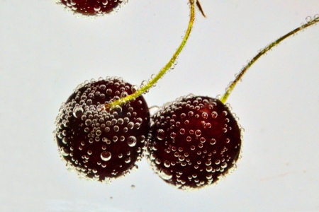 Cherries with bubbles-1の写真素材