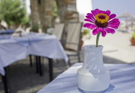 Flower in vase on the tableの写真素材