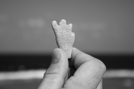 Fingers holding object in black and white colourの写真素材