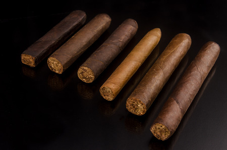 Handcrafted cigar made of tobacco leafsの写真素材
