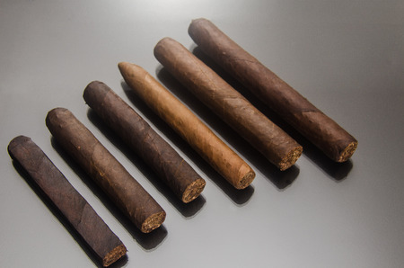 Handcrafted cigar made of tobacco leafsの写真素材