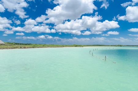 Kaan Luum natural lake in the middle of the rainforest, Quintana Roo, Mexicoの写真素材