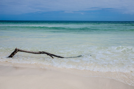 Secluded virgin beach at mexican caribbeanの写真素材