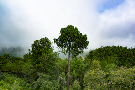 View of fog over the mountains in the highlands town of Las Animas, Oaxacaの写真素材