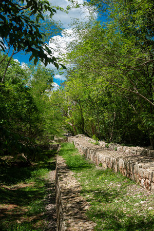 Ancient wall at Chichen Itza, Yucatan, Mexicoの写真素材