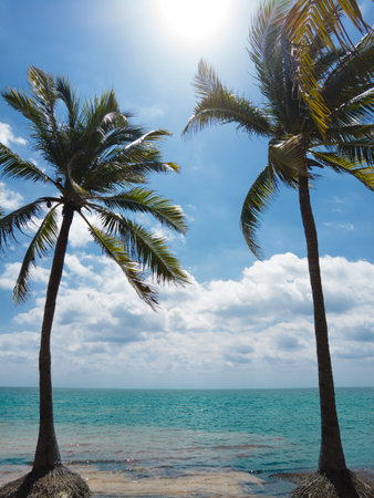Scenic view of El Mirador 2 in Cancun