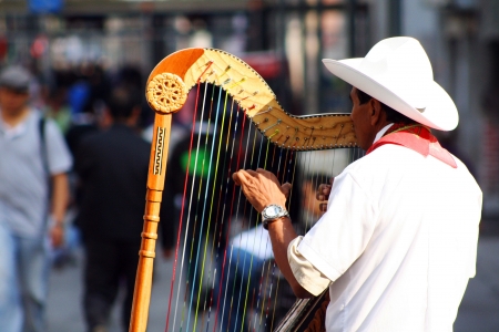 Traditional jarocho musician from Veracruz playing for tourists in Mexico City