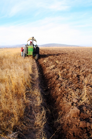 Tractor and farmers working in the field の写真素材