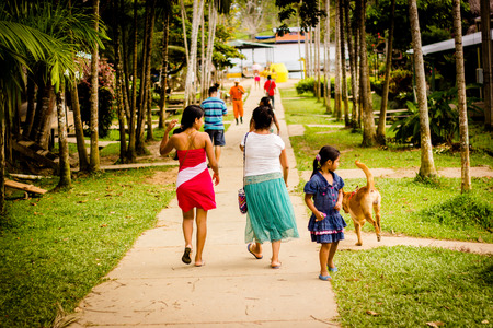 rural asphalt road through the green field in the jungle, people walkingのeditorial素材