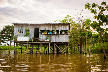 House at the amazon riverのeditorial素材
