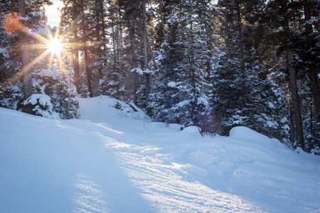 View at the ski slopes piste in the mountains of Angel Fire, New Mexico.の写真素材