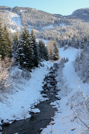 White mountain with creek and pine trees.の写真素材