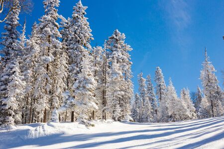 View at the ski slopes piste in the mountains of Angel Fire, New Mexico.の写真素材