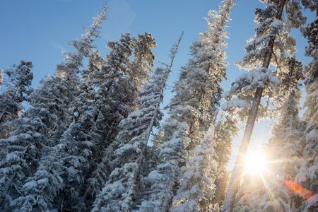 View at the ski slopes piste in the mountains of Angel Fire, New Mexico.