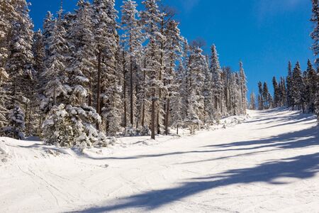 View at the ski slopes piste in the mountains of Angel Fire, New Mexico.の写真素材