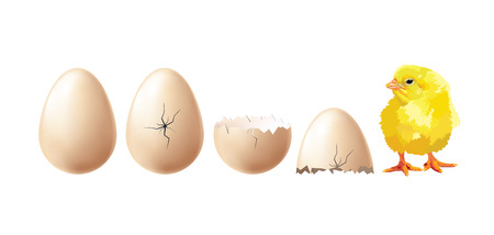 hatchのイラスト素材