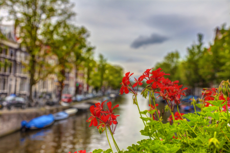Red flowers on the bridge over the canal in Amsterdam, the Netherlands, HDR Image.の写真素材