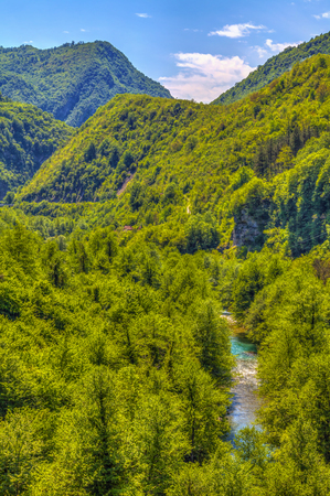 Wooded areas above the Milesevo River, HDR Image.の写真素材