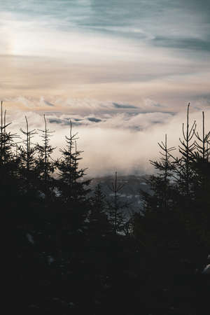Low Clouds in Winter Valley with Pine Trees and Sky view from Mountain in Czechiaの写真素材