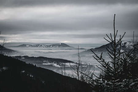 Winter valley view with pine tree and mountain and cloudsの写真素材