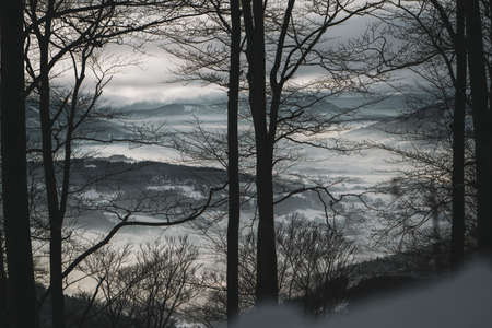 Valley in fog view trees mountain snow winterの写真素材