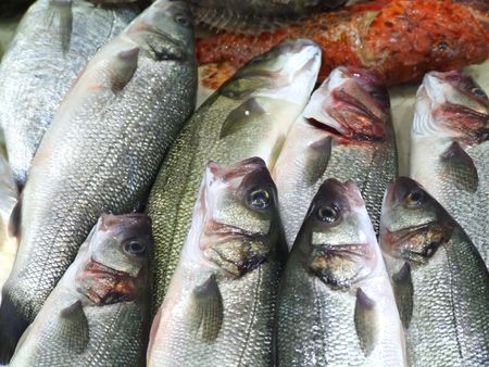 Sea fishes on the market