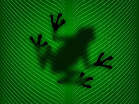 Frog on a green leaf - digital illustrationの写真素材
