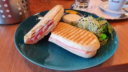 Paniniのeditorial素材