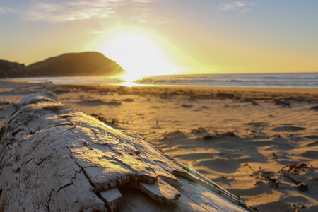 Sunset on a beachの写真素材