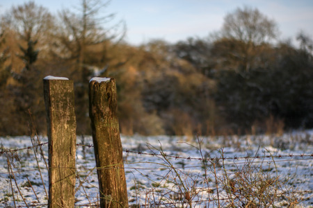 Sunset in winterの写真素材