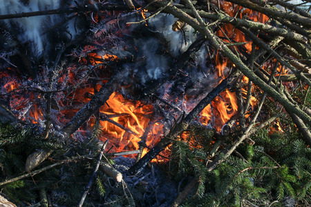 Fire close upの写真素材