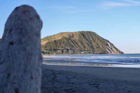 Summer on the beachの写真素材
