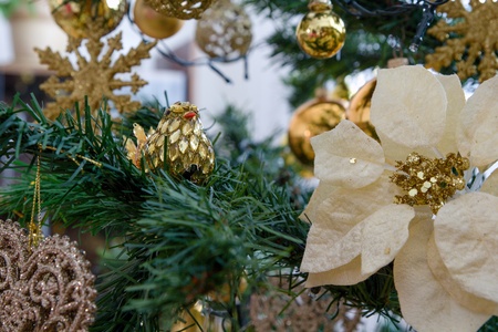 decoration for Christmas treesの写真素材