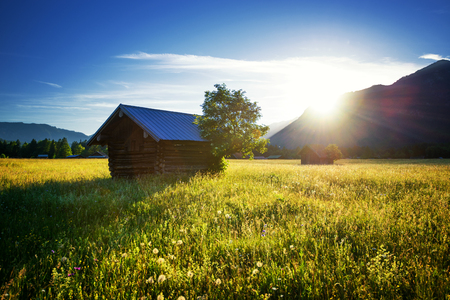 Beautiful spring meadow. Sunny clear sky with hut in mountains. Colorfull field full of flowers. Direct sunlight at Grainau, Germanyの写真素材
