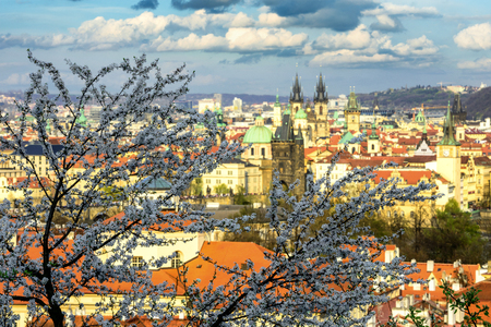 Beautiful yard during spring morning at Prague, Czech republic.の写真素材