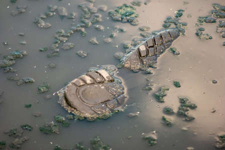 Single lost shoe drowned in muddy water of wild lake. No trace of the owner.の写真素材