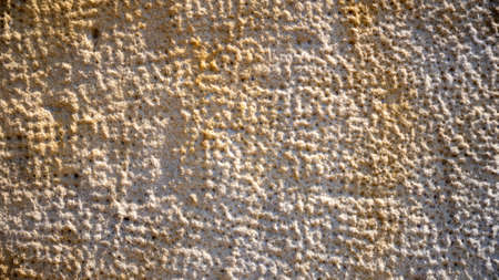 dotted texture of sandstone used to decorate buildingの写真素材