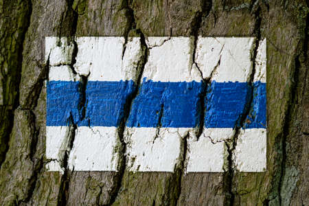 Tree bark painted with blue european hiking path mark.の写真素材